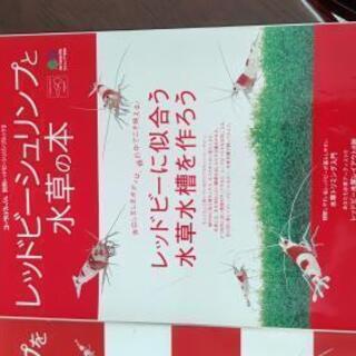 商談中ビーシュリンプ | sciotec.net