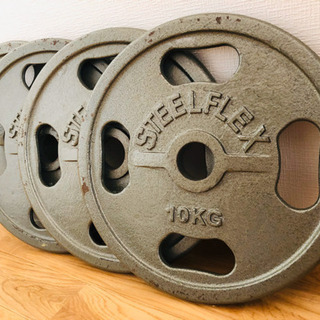 スチールフレックス オリンピックプレート