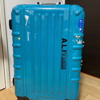 大型スーツケース 5〜6泊用 TSAロック