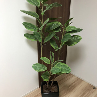 フェイク 観葉植物180センチ