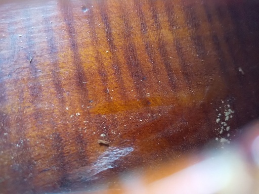 試験的に製作されたヴァイオリン（ボディー内部にまでニスが塗られた