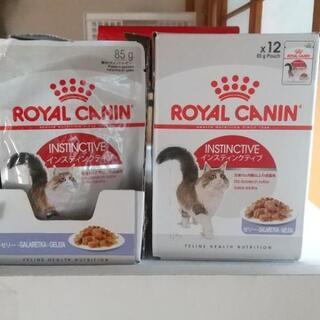 ロイヤルカナン  ROYAL  CANIN  猫