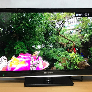 テレビ HISENSE HS24A220 HS24A220 液晶テレビ [24V型 /ハイビジョン] Hisense｜ハイセンス 通販