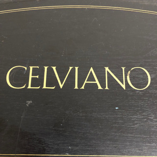 CASIO    CELVIANO    AP-30    電子ピアノ