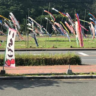 新設🌈グルメン募集🌔