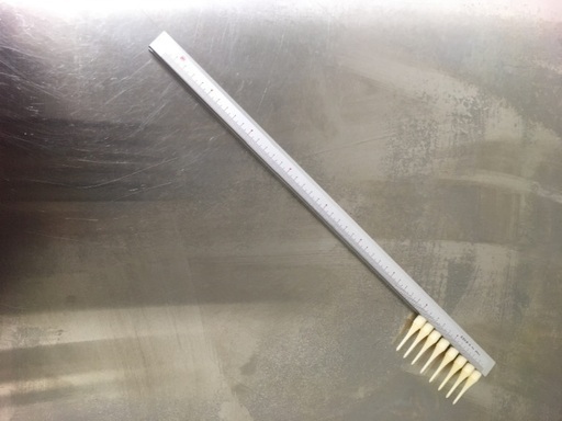 クリスケール　45cm