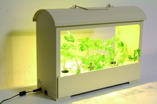自粛が増えている中どうですか？　お部屋で家庭菜園　LED 野菜栽培キット Akarina05【アイボリー】 水耕栽培器 [Akarina05]