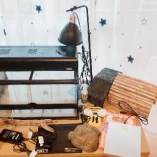 爬虫類のケージ，セットで!!