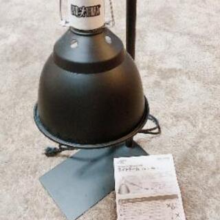 爬虫類のケージ，セットで!!