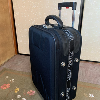 使いやすいサイズのスーツケース