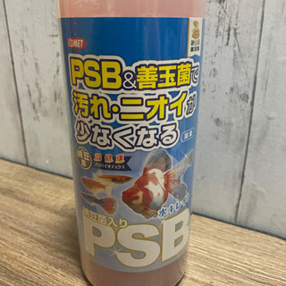 🌸お話し中🌸PSB