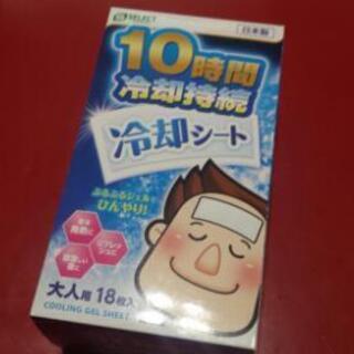 冷却シート大人用18枚
