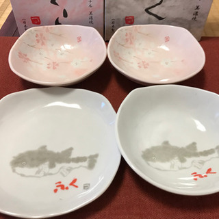 片岡鶴太郎オリジナル　皿12枚　美濃焼