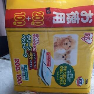 ペットシーツ　わんちゃんのトイレシート