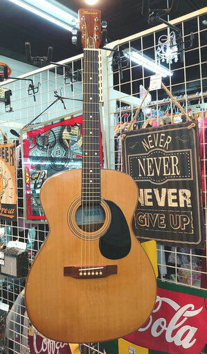 【HARUNA】アコースティックギター販売中！