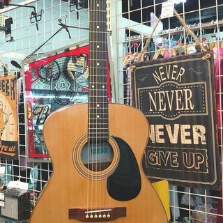 HARUNA】アコースティックギター販売中！