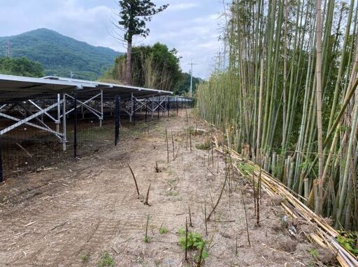 茨城県桜川市で年5回除草剤噴霧と細い竹の処理作業できる方募集 アーリーリタイヤ 桜川のその他の無料求人広告 アルバイト バイト募集情報 ジモティー 茨城県桜川市で年5回除草剤噴霧と細い竹の処理作業できる方募集 アーリーリタイヤ 桜川のその他の無料求人広告 アルバイト バイト募集情報 ジモティー