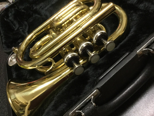 Jupiter ポケットトランペット JPT-416 美品！ - 管楽器、笛、ハーモニカ
