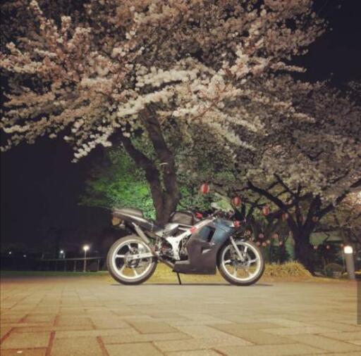 HONDA NS-1 実働 乗って帰れます！