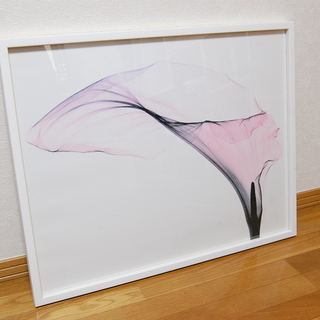 ■170 X線写真　アートフレーム（宣伝用） □170 X線写真 アートフレーム（宣伝用）