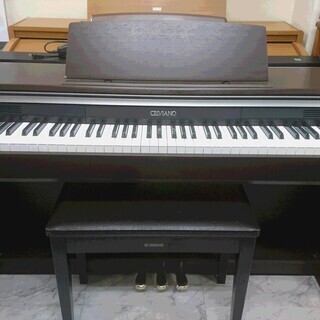 電子ピアノ CASIO カシオ AP-220BN 2009製 動作品