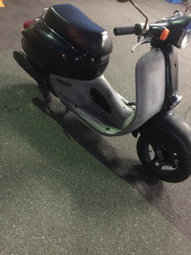 ジョルノカブ実動‼️