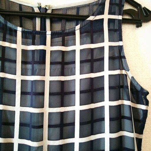 ダニー アンノースリーブ 膝丈ワンピースチェックシースルー 塩大福 板橋本町のワンピースの中古 古着あげます 譲ります ジモティーで不用品の処分