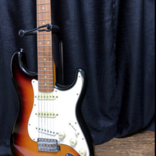ESP Edwards E-SE-100R/LT 3TS 生産終了商品