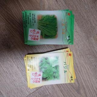 小松菜･バジルの種