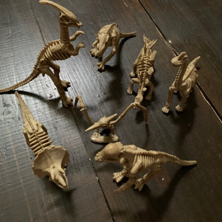 『骨格恐竜』7点セット