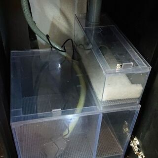 特価‼️オーバーフロー水槽(高級感のあるガラス) オルカ製45×45