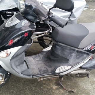 PGO Mybubu マイブブ 125cc スクーター 原付 二種