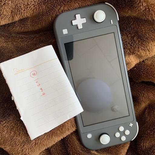 SwitchLite グレー