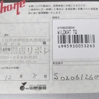 Epiphone エピフォン　WILDKAT　TQ　ターコイズ
