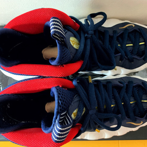 NIKE AIR FOAMPOSITE ONE PREMIUM OLYMPIC 27.5cm | hornnes.no