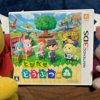 ニンテンドー3DS（とびだせ　どうぶつの森）