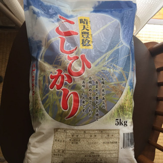 お米 10kg コシヒカリ