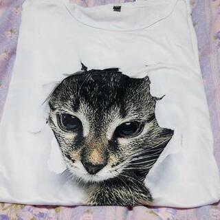 飛び出す猫Tシャツ