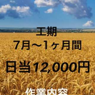 急募！※応募締切25日まで 軽作業 草刈り作業員 短期アルバイト...