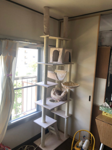 猫 キャットタワー 急募です！！！値下げしました