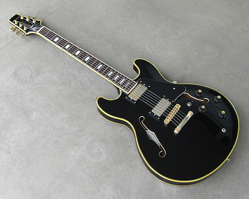 Aria ProⅡ アリアプロ2 TA-62 セミアコ エレキギター ブラック