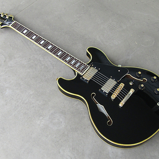 Aria ProⅡ アリアプロ2 TA-62 セミアコ エレキギター ブラック 中古品