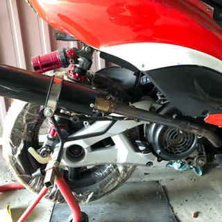 【交換希望】シグナス レーサー 横型4mini と交換してください 交換希望】シグナス レーサー 横型4mini と交換してください 【公式通販】