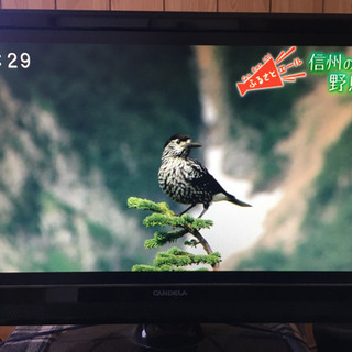 【取引中】19インチ　テレビ