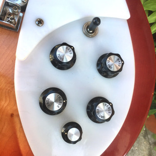 Rickenbacker/オールド