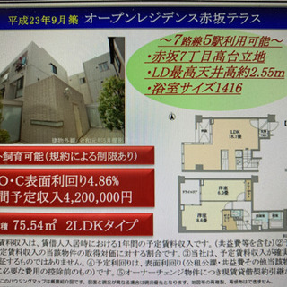 【売物件: オーナーチェンジ】赤坂オープンハウス施工低層メゾネッ...