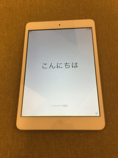 iPad mini 本体のみ