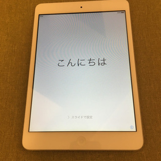 iPad mini 本体のみ