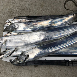 船釣り🎣専門　ターゲットは色々(^^)