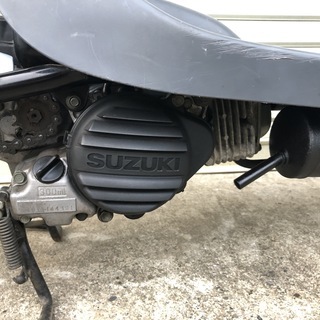 ◇スズキ◇チョイノリ◇綺麗です◇